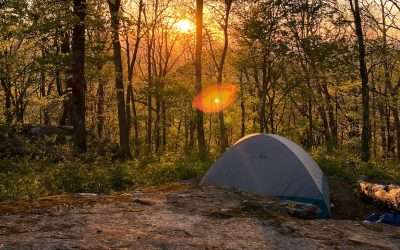 Safety Checks for Retreat Centers & Summer Camps